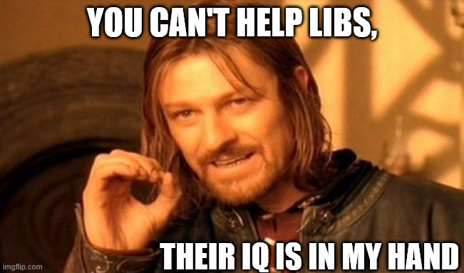 One Does Not Simply Meme | YOU CAN'T HELP LIBS, THEIR IQ IS IN MY HAND | image tagged in memes,one does not simply | made w/ Imgflip meme maker