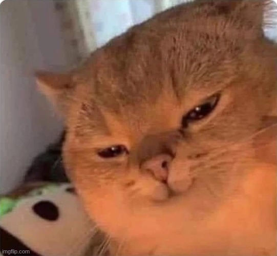 image tagged in satisfied cat | made w/ Imgflip meme maker