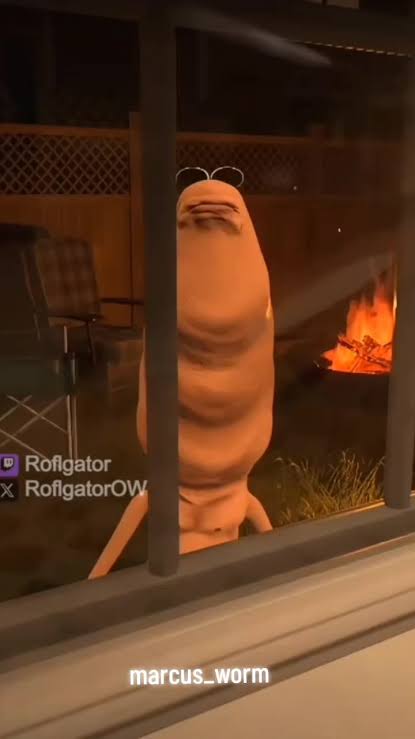 Marcus the Worm Blank Meme Template