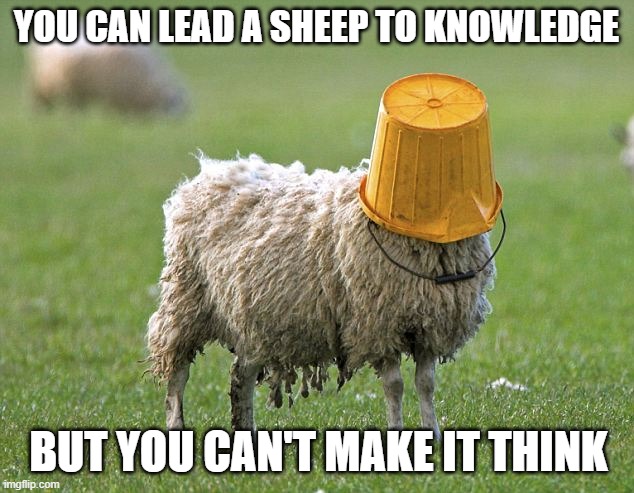 The Trouble with Sheeple | YOU CAN LEAD A SHEEP TO KNOWLEDGE; BUT YOU CAN'T MAKE IT THINK | image tagged in stupid sheep | made w/ Imgflip meme maker