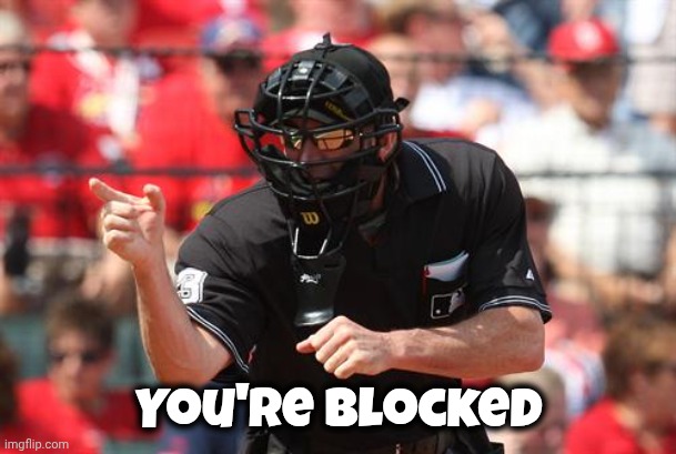 Umpire | You're blocked | image tagged in umpire | made w/ Imgflip meme maker