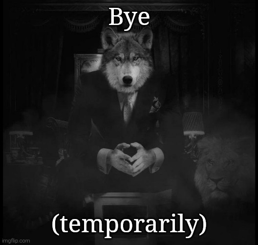 Nobody would care anyway but I saw some people worrying in memechat | Bye; (temporarily) | image tagged in wolf on a chair | made w/ Imgflip meme maker