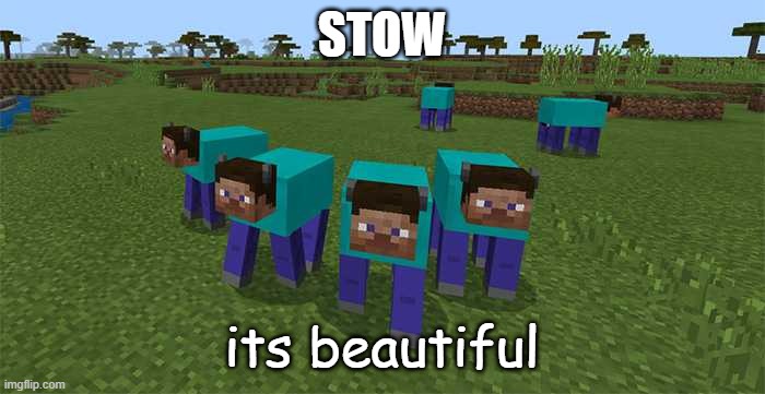 me and the boys | STOW its beautiful | image tagged in me and the boys | made w/ Imgflip meme maker