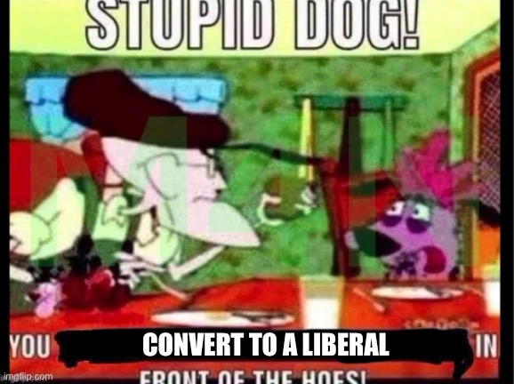 you stupid dog! you x in front of the hoes | CONVERT TO A LIBERAL | image tagged in you stupid dog you x in front of the hoes | made w/ Imgflip meme maker