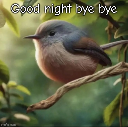 Goodbye everyone | Good night bye bye | image tagged in no balls,killing myself | made w/ Imgflip meme maker