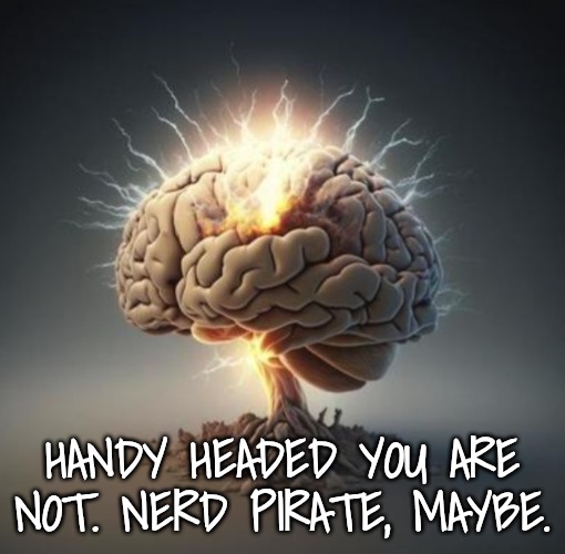 Brain on overdrive | HANDY HEADED YOU ARE NOT. NERD PIRATE, MAYBE. | image tagged in brain on overdrive | made w/ Imgflip meme maker