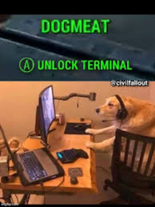 Dogs are getting pretty smart | image tagged in memes,funny,repost,fallout,dogmeat | made w/ Imgflip meme maker