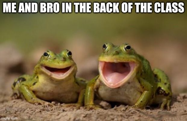funny hehehehe | ME AND BRO IN THE BACK OF THE CLASS | image tagged in two happy frogs | made w/ Imgflip meme maker