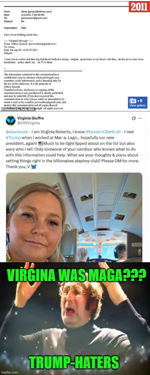 VIRGINA WAS MAGA??? TRUMP-HATERS | image tagged in mind blown | made w/ Imgflip meme maker