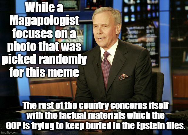 Nightly News | While a Magapologist focuses on a photo that was picked randomly for this meme The rest of the country concerns itself with the factual mate | image tagged in nightly news | made w/ Imgflip meme maker