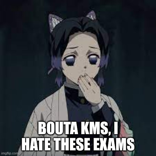 wait u have a point | BOUTA KMS, I HATE THESE EXAMS | image tagged in wait u have a point | made w/ Imgflip meme maker