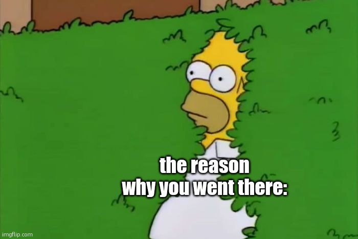 the reason why you went there: | image tagged in homer disappears into bush | made w/ Imgflip meme maker