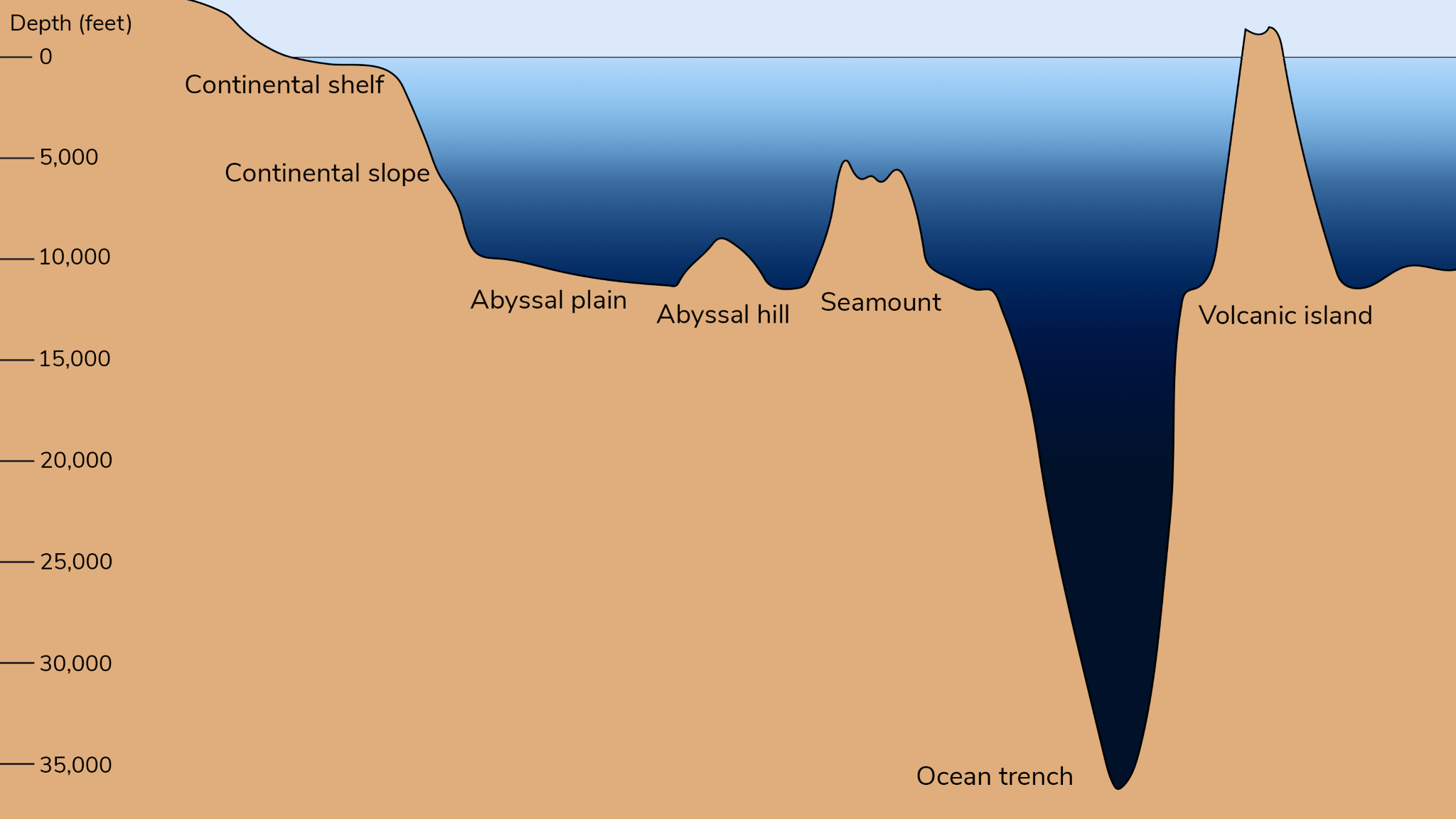 Ocean diagram thingy Blank Meme Template