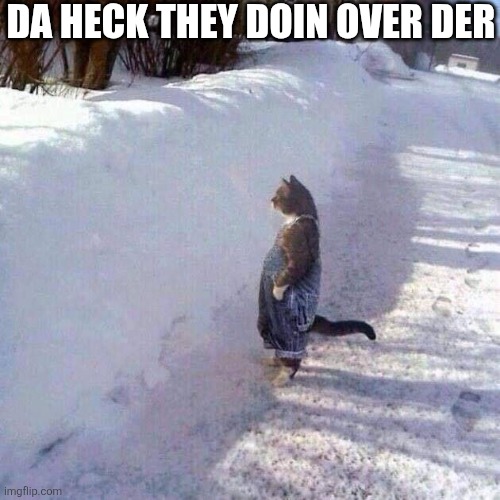 Da Heck They Doin Over Der | DA HECK THEY DOIN OVER DER | image tagged in chrisjoines1 | made w/ Imgflip meme maker