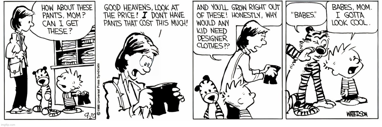 Hobbes keeps Calvin’s priorities straight… | image tagged in calvin and hobbes,comics,shopping,pants,expensive,babes | made w/ Imgflip meme maker