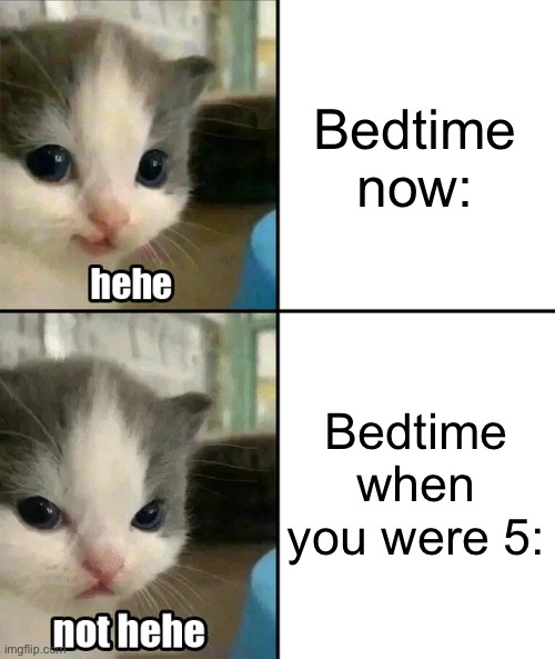 Cute cat hehe and not hehe | Bedtime now:; Bedtime when you were 5: | image tagged in cute cat hehe and not hehe | made w/ Imgflip meme maker