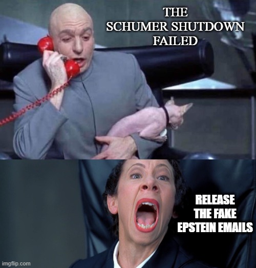 Dr Evil and Frau | THE SCHUMER SHUTDOWN FAILED; RELEASE THE FAKE EPSTEIN EMAILS | image tagged in dr evil and frau | made w/ Imgflip meme maker