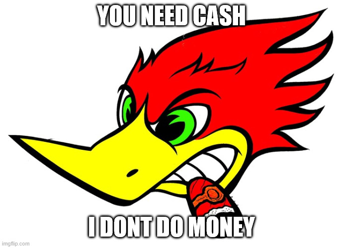 Angry woodpecker meme | YOU NEED CASH; I DONT DO MONEY | image tagged in meme,evil,funny,weird | made w/ Imgflip meme maker