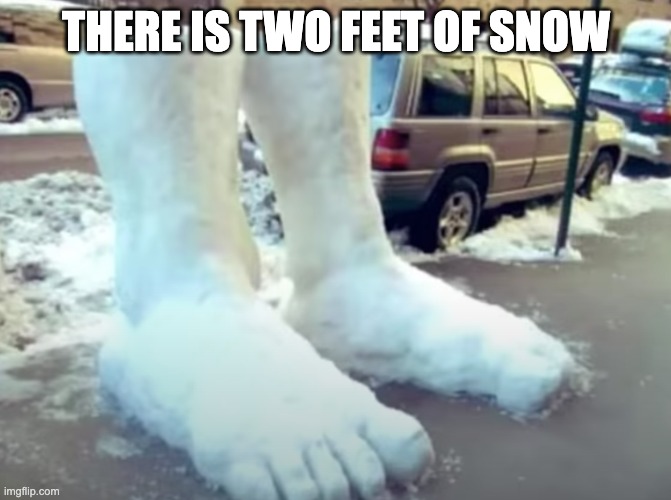 2 feet of snow | THERE IS TWO FEET OF SNOW | image tagged in feet,snow | made w/ Imgflip meme maker