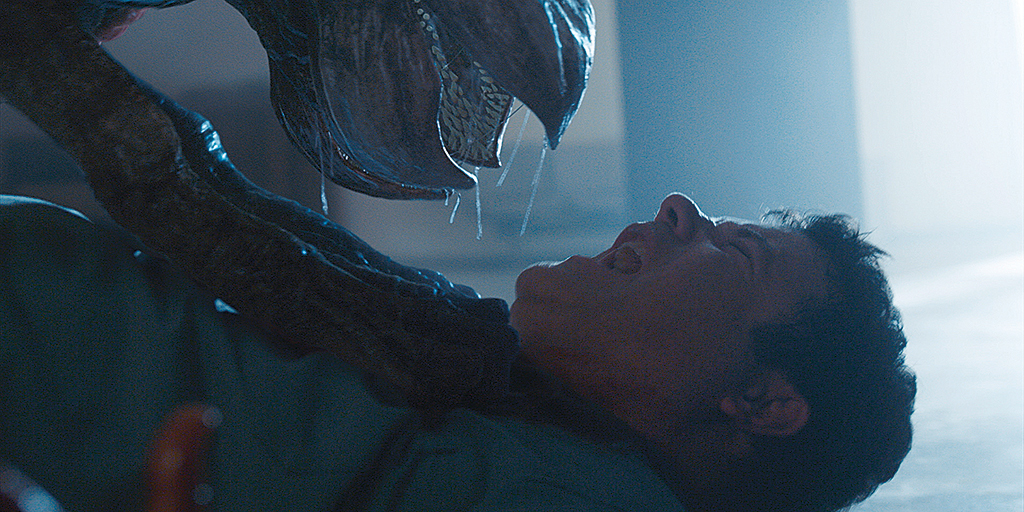 bob Blank Meme Template