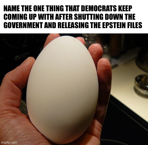Hint: It rhymes with Moose Egg | NAME THE ONE THING THAT DEMOCRATS KEEP 
COMING UP WITH AFTER SHUTTING DOWN THE 
GOVERNMENT AND RELEASING THE EPSTEIN FILES | image tagged in goose egg | made w/ Imgflip meme maker