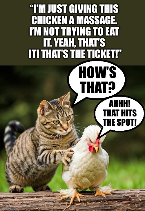 Maybe we believe him… and maybe we don’t… | HOW’S
THAT? AHHH!
THAT HITS
THE SPOT! | image tagged in cats,chicken,massage,masseuse,hits the spot | made w/ Imgflip meme maker