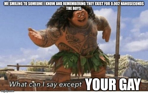 Moana maui what can I say except blank | ME SMILING TO SOMEONE I KNOW AND REMEMBERING THEY EXIST FOR 0.002 NANOSECONDS
THE BOYS:; YOUR GAY | image tagged in moana maui what can i say except blank | made w/ Imgflip meme maker