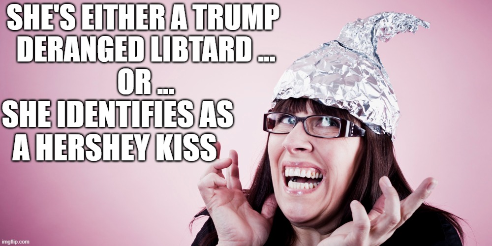 Democrats are Deranged | SHE'S EITHER A TRUMP 
DERANGED LIBTARD ...
OR ... SHE IDENTIFIES AS 
A HERSHEY KISS | image tagged in libtard | made w/ Imgflip meme maker