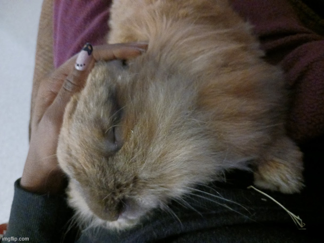 sweet baby | made w/ Imgflip meme maker