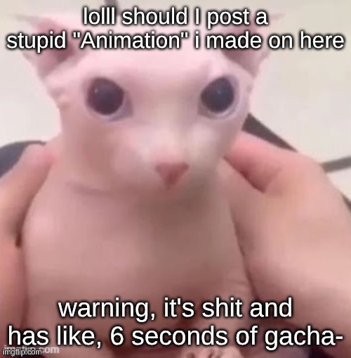 yeahhhh... | lolll should I post a stupid "Animation" i made on here; warning, it's shit and has like, 6 seconds of gacha- | image tagged in bingus | made w/ Imgflip meme maker