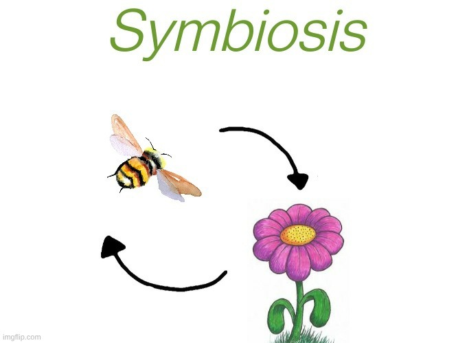 Symbiosis | image tagged in symbiosis | made w/ Imgflip meme maker