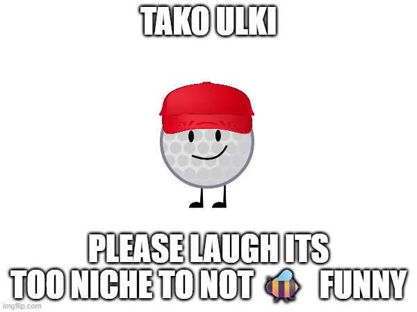 tako ulki | TAKO ULKI; PLEASE LAUGH ITS TOO NICHE TO NOT 🐝  FUNNY | image tagged in niche | made w/ Imgflip meme maker