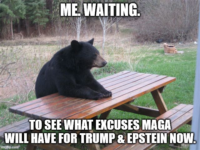 Patient Bear | ME. WAITING. TO SEE WHAT EXCUSES MAGA WILL HAVE FOR TRUMP & EPSTEIN NOW. | image tagged in patient bear | made w/ Imgflip meme maker