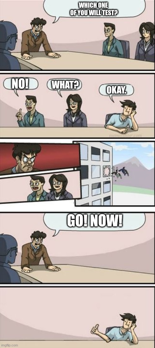 Yes that is me for you | WHICH ONE 
OF YOU WILL TEST? NO! WHAT? OKAY. GO! NOW! | image tagged in boardroom meeting sugg 2 | made w/ Imgflip meme maker