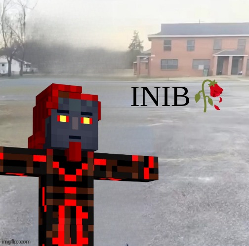 INIB | image tagged in inib | made w/ Imgflip meme maker