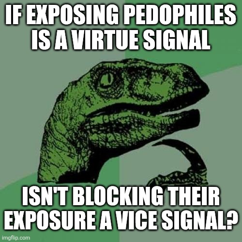 Philosoraptor Meme | IF EXPOSING PEDOPHILES IS A VIRTUE SIGNAL; ISN'T BLOCKING THEIR EXPOSURE A VICE SIGNAL? | image tagged in memes,philosoraptor | made w/ Imgflip meme maker