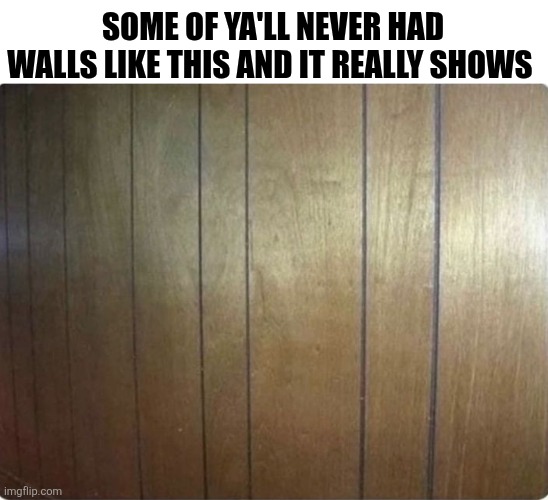 Some Of Ya'll Never Had Walls Like This | SOME OF YA'LL NEVER HAD WALLS LIKE THIS AND IT REALLY SHOWS | image tagged in chrisjoines1 | made w/ Imgflip meme maker