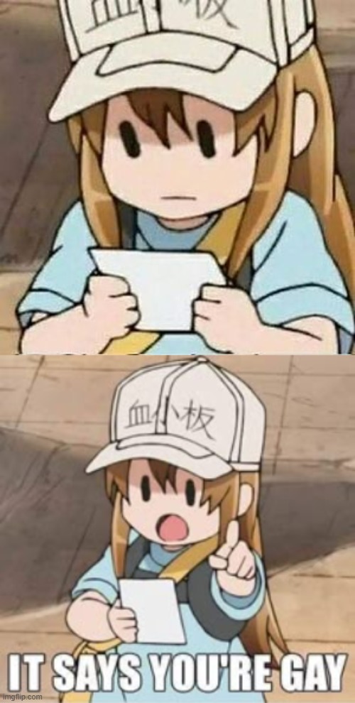 fa- | image tagged in cellsatwork,cells at work,caw,why are you gay,anime,platelet | made w/ Imgflip meme maker