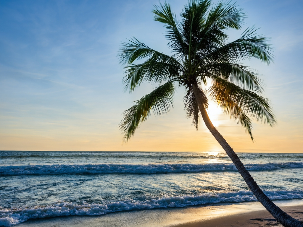 Travel with us Blank Meme Template