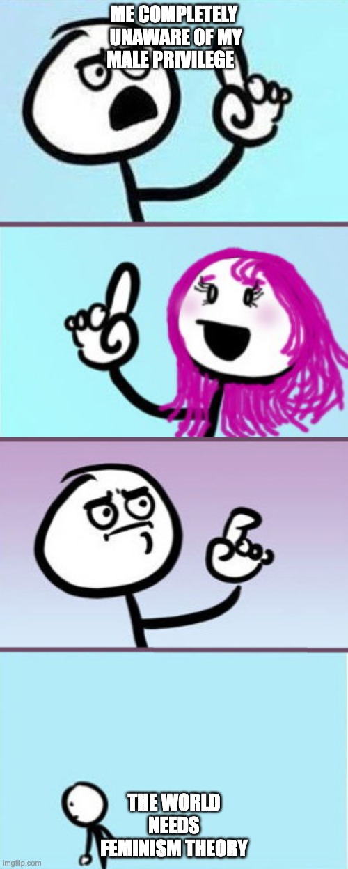feminism theory | ME COMPLETELY  UNAWARE OF MY MALE PRIVILEGE; THE WORLD NEEDS FEMINISM THEORY | image tagged in man vs woman good point | made w/ Imgflip meme maker