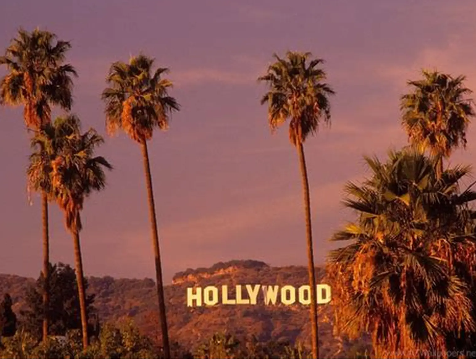 Hollywood Sign Blank Meme Template