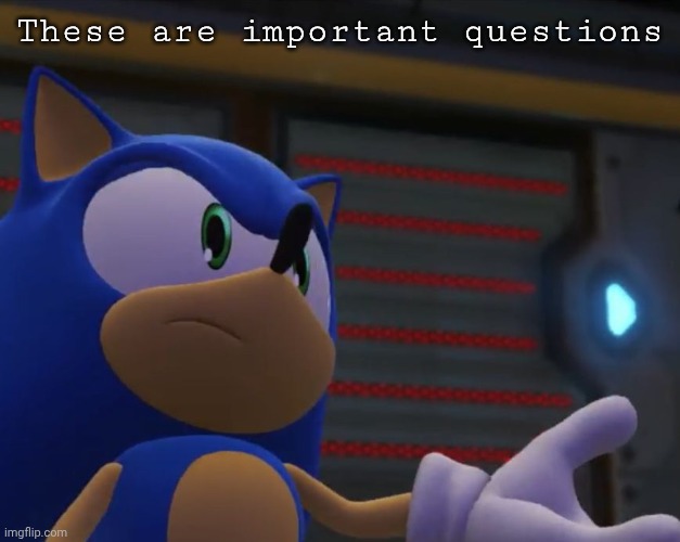 Important Questions | These are important questions | image tagged in important questions | made w/ Imgflip meme maker