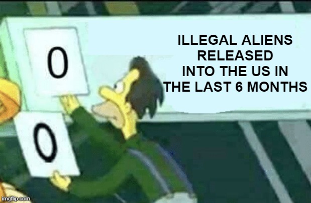 Homan is my Homie | ILLEGAL ALIENS RELEASED INTO THE US IN THE LAST 6 MONTHS | image tagged in illegals released zero meme | made w/ Imgflip meme maker