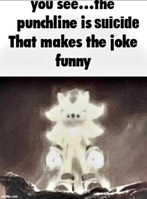 Shadow explains the joke | suicide | image tagged in shadow explains the joke | made w/ Imgflip meme maker