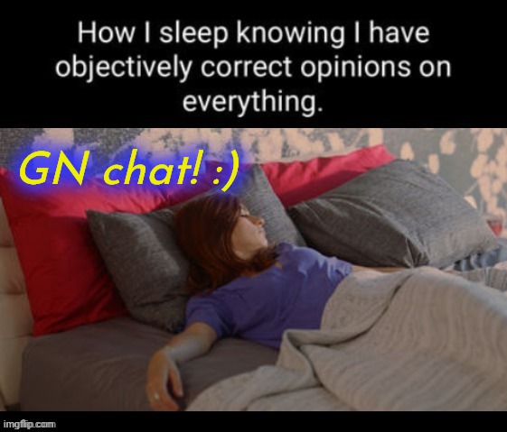 Itz 3am. Goodnight streem! :) | GN chat! :) | image tagged in memez | made w/ Imgflip meme maker