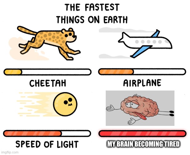 **Yawn** | MY BRAIN BECOMING TIRED | image tagged in fastest thing on earth | made w/ Imgflip meme maker