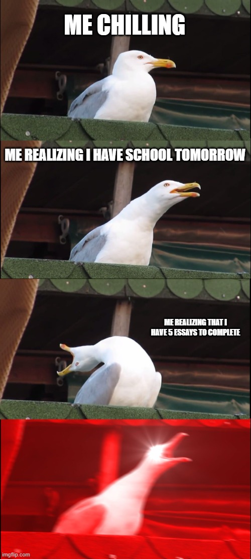 School | ME CHILLING; ME REALIZING I HAVE SCHOOL TOMORROW; ME REALIZING THAT I HAVE 5 ESSAYS TO COMPLETE | image tagged in memes,inhaling seagull | made w/ Imgflip meme maker