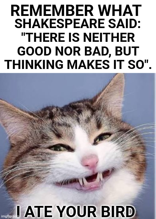 Tweety | REMEMBER WHAT; SHAKESPEARE SAID:; "THERE IS NEITHER GOOD NOR BAD, BUT THINKING MAKES IT SO". I ATE YOUR BIRD | image tagged in cat,cats,shakespeare | made w/ Imgflip meme maker