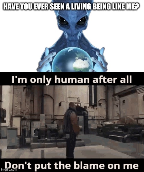 Is that real? | HAVE YOU EVER SEEN A LIVING BEING LIKE ME? | image tagged in inside joke,scooby doo | made w/ Imgflip meme maker