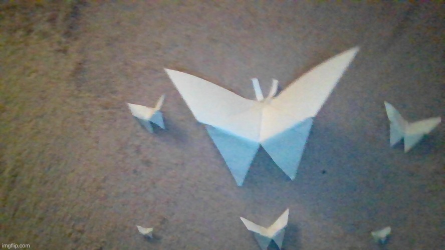 made from a single sheet of paper | image tagged in butterfly,origami,paper | made w/ Imgflip meme maker